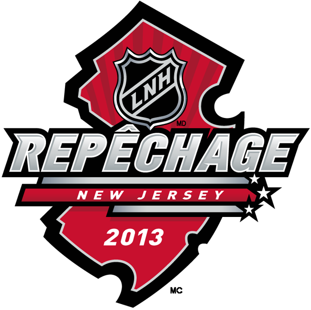 NHL Draft 2013 Alt. Language Logo t shirts iron on transfers